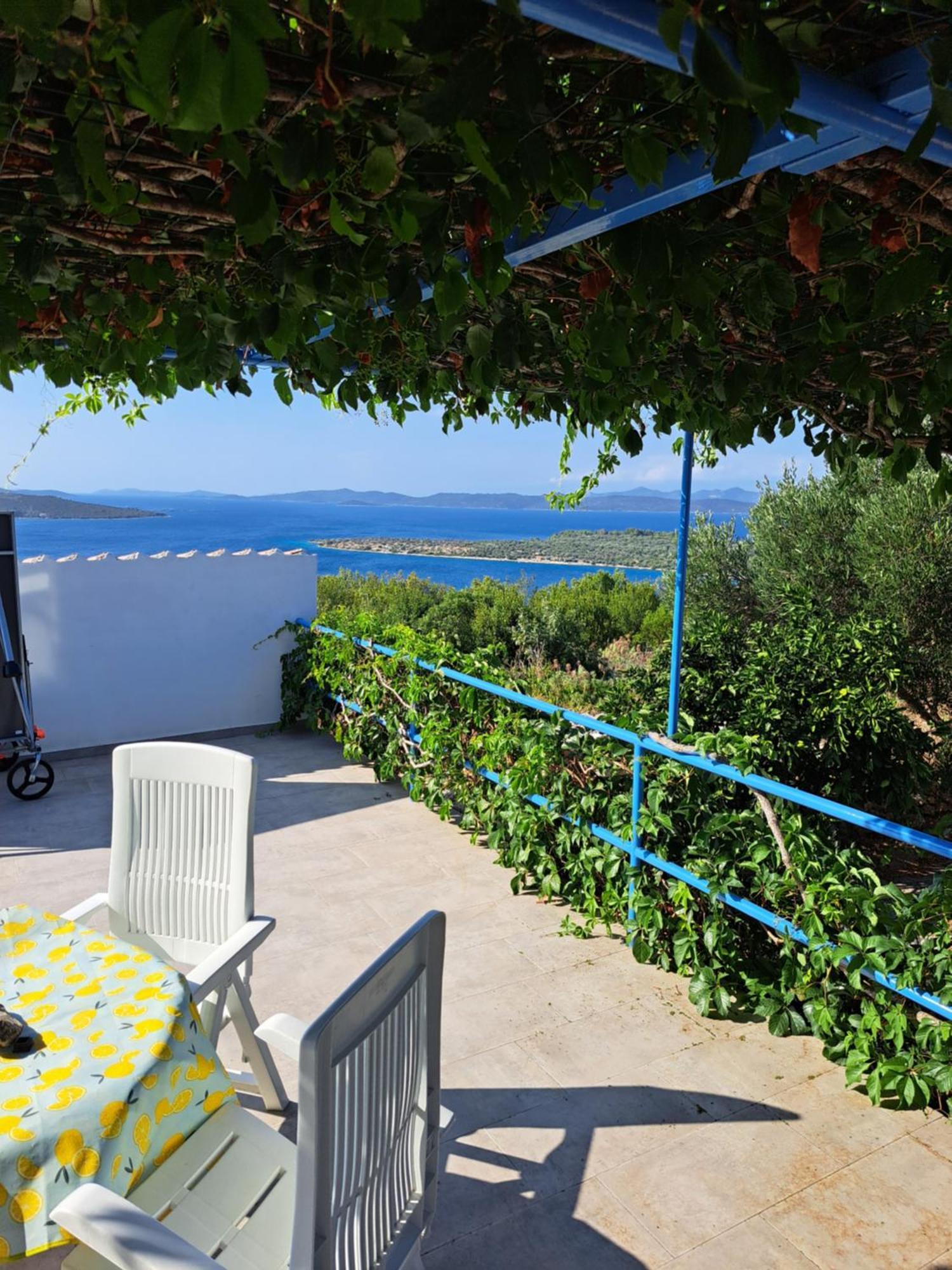 Olivier House Villa Zaglav Dış mekan fotoğraf