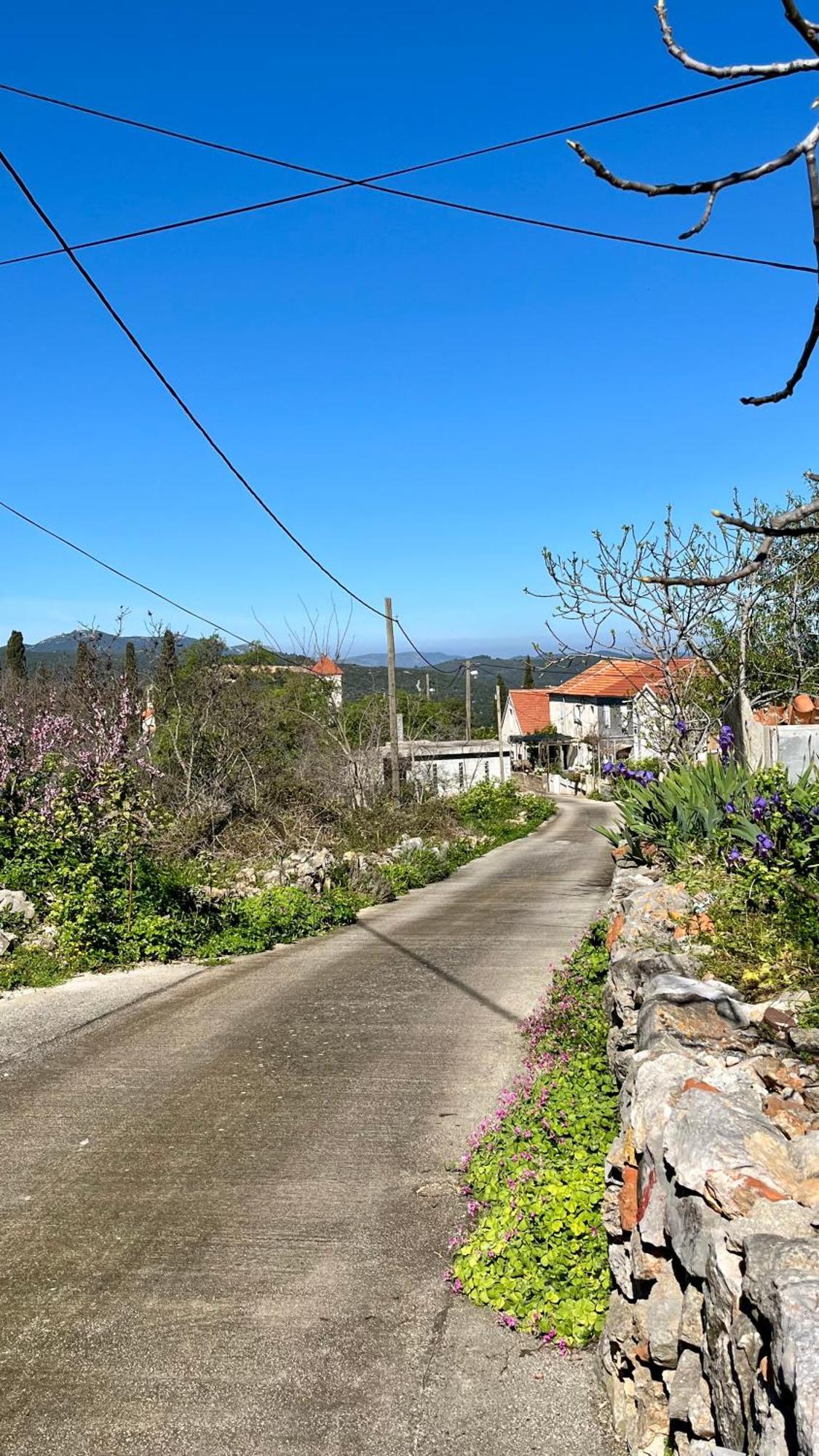 Olivier House Villa Zaglav Dış mekan fotoğraf