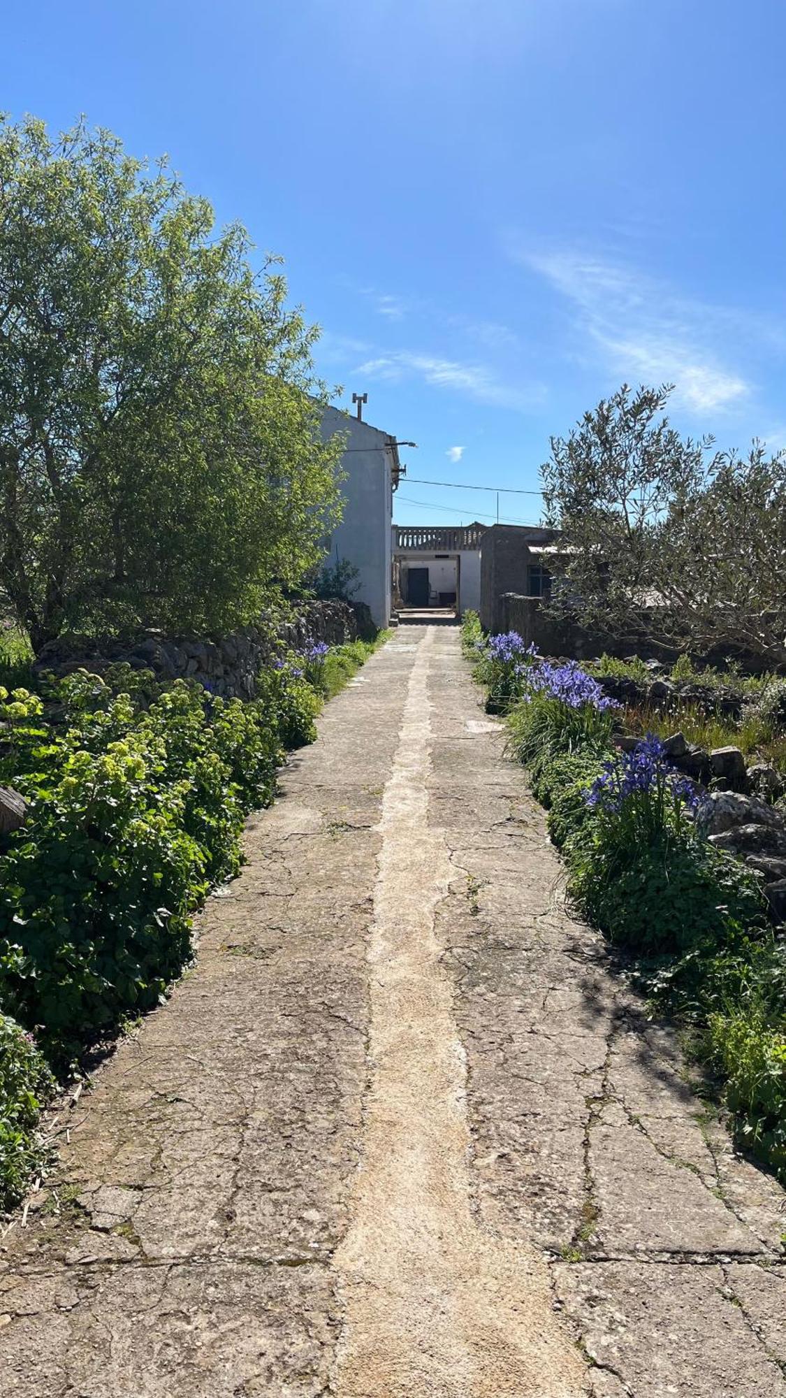 Olivier House Villa Zaglav Dış mekan fotoğraf