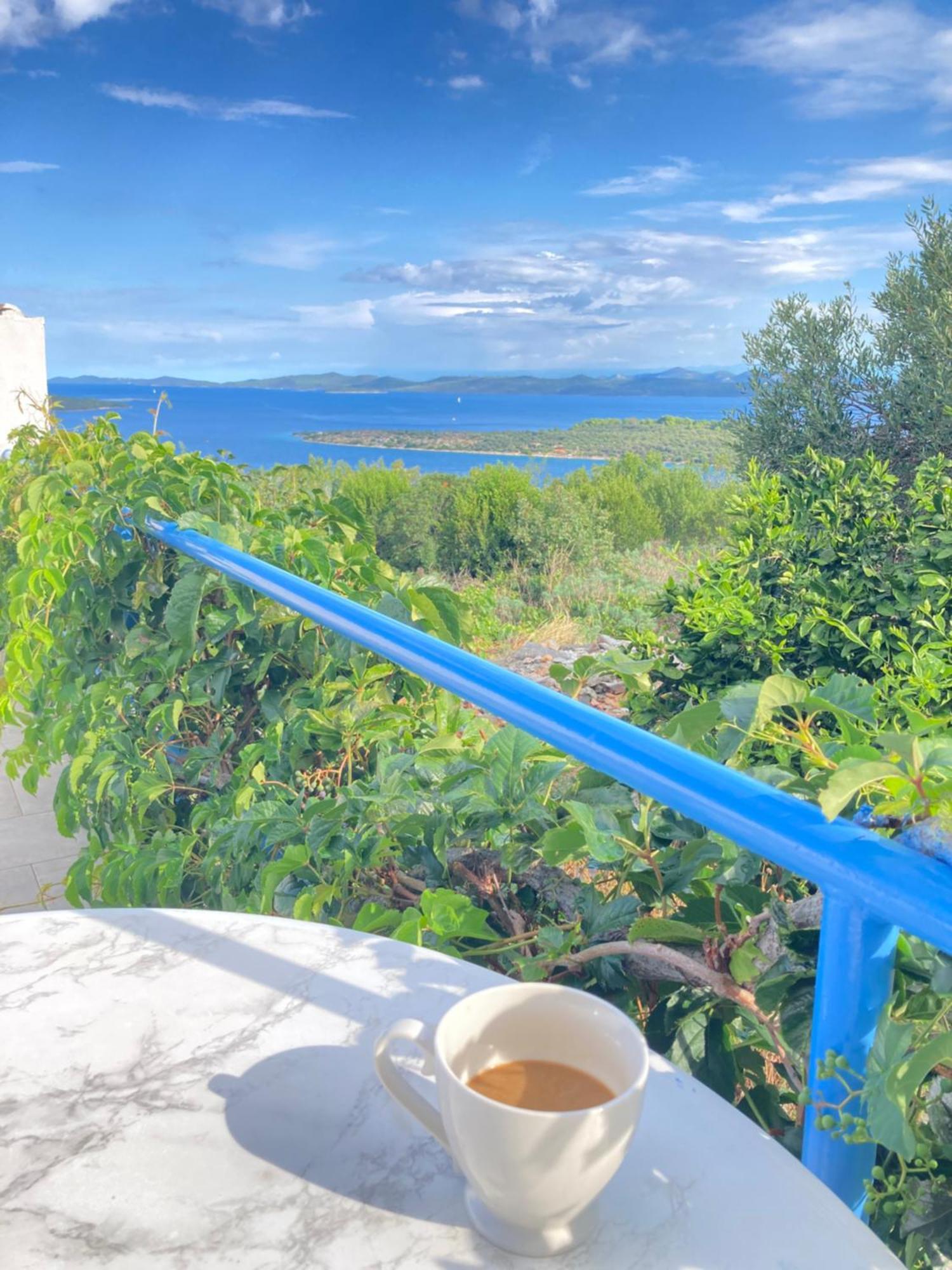 Olivier House Villa Zaglav Dış mekan fotoğraf